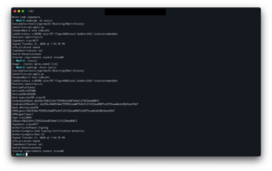 Terminal codesign output listing the ps code signature blob transplanted onto the target binary