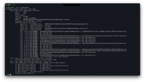Terminal dump of code directory hash slots showing slot 17 and mismatched hashes as the problem