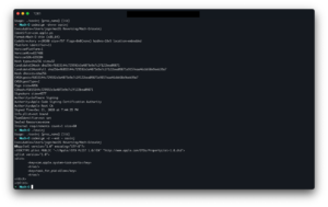 Terminal showing the resigned binary's embedded entitlements plist executing successfully